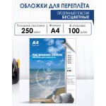 Обложка для переплета A4, пластик 250мкм, прозрачный, 100шт/уп (РеалИСТ)