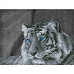 Алмазная мозаика "Загадочный тигр" 52 х 39.5см (Фрея)
