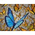 Альбом для рисования 40л, спираль, 110г/м2, "Butterfly " (Listoff)