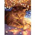 Картина по номерам "Котик с огоньками" 30 х 40 см, со светодиодами (Фрея)